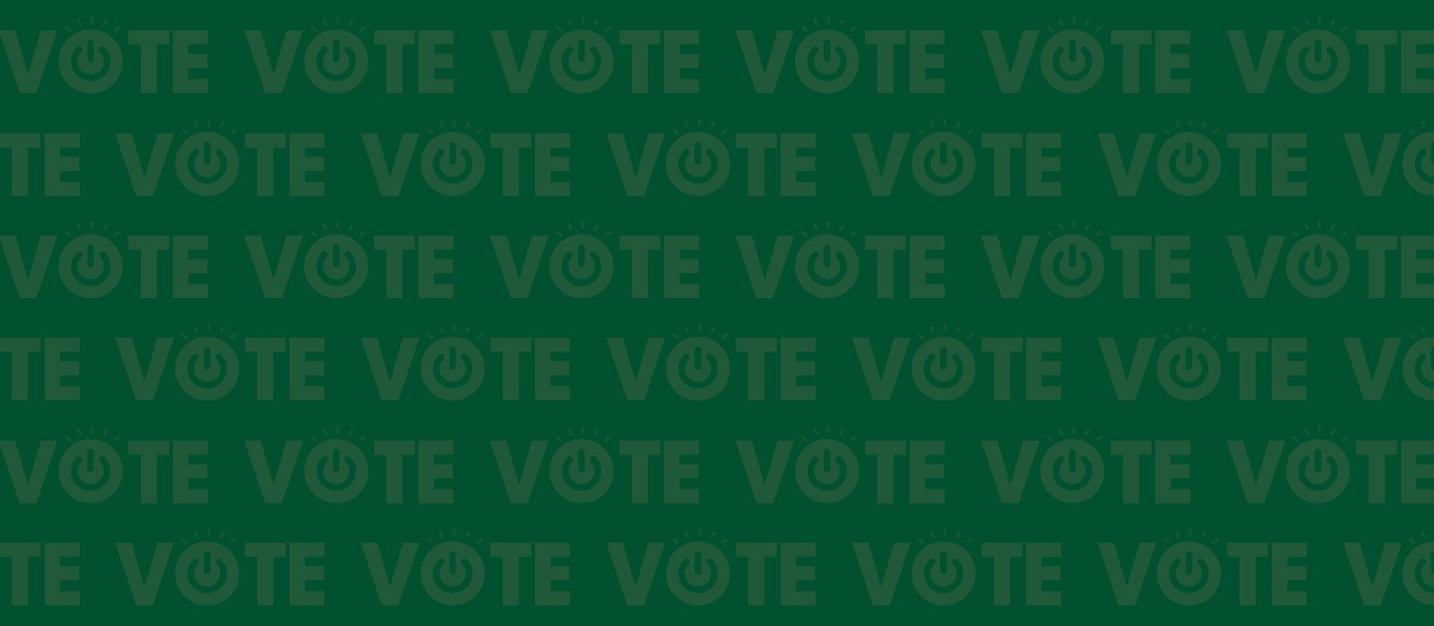 Voto logo repeated